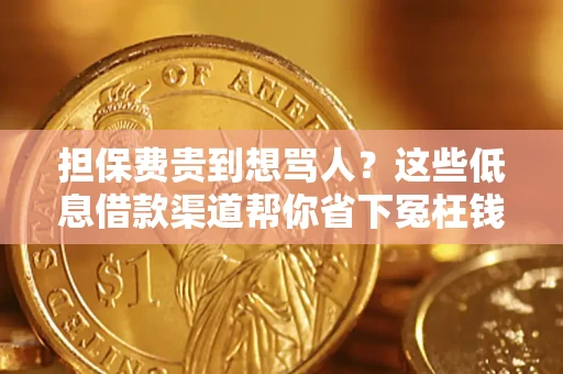 武汉担保费贵到想骂人？这些低息借款渠道帮你省下冤枉钱