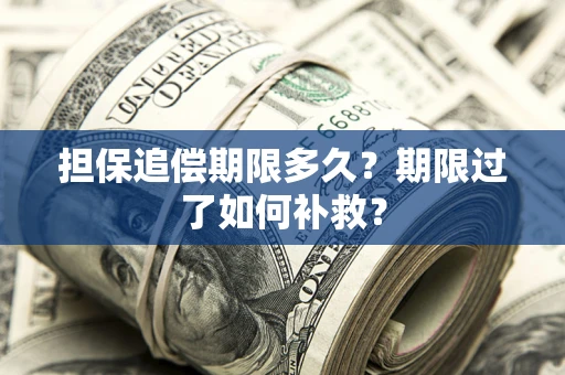 武汉担保追偿期限多久？期限过了如何补救？