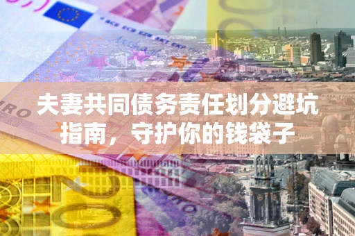 武汉夫妻共同债务责任划分避坑指南，守护你的钱袋子