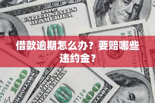 武汉借款逾期怎么办？要赔哪些违约金？